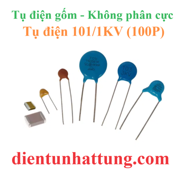 tu-dien-101p-1kV-cac-loai-tu-dien-gom-tu-khong-phan-cuc-dai-dien