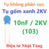 tu-dien-khong-phan-cuc-tu-gom-xanh-103-2kv