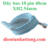 day-bus-10pin-xh2.54mm-40cm-hinh-dai-dien