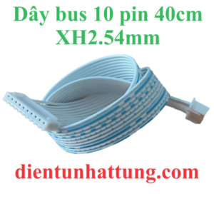 day-bus-10pin-xh2.54mm-40cm-hinh-dai-dien