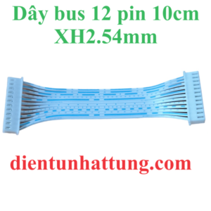 day-bus-12pin-xh2.54mm-10cm-hinh-dai-dien