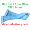 day-bus-12pin-xh2.54mm-20cm-hinh-dai-dien