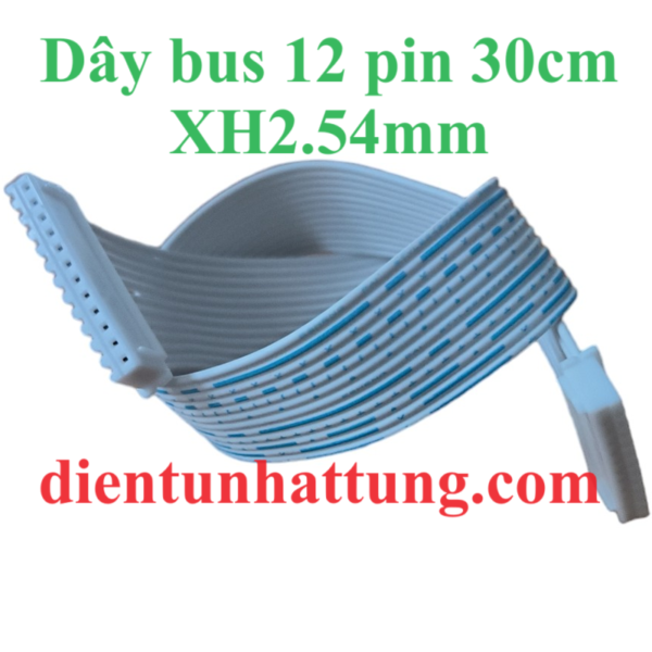 day-bus-12pin-xh2.54mm-30cm-hinh-dai-dien