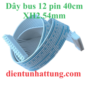 day-bus-12pin-xh2.54mm-40cm-hinh-dai-dien