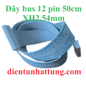 day-bus-12pin-xh2.54mm-50cm-hinh-dai-dien