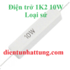 dien-tro-1k2-10w-dien-tro-cong-suat-loai-su-dai-dien