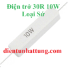 dien-tro-30r-10w-dien-tro-cong-suat-loai-su-dai-dien