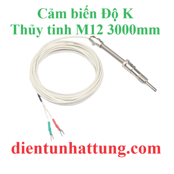 cam-bien-do-k-thuy-tinh-m12-3000mm-cam-bien-nhiet-do-dai-dien1