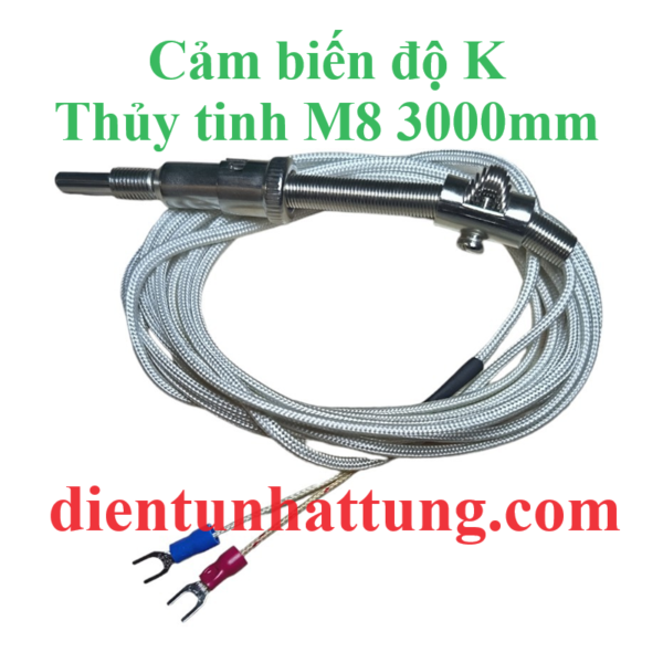 cam-bien-do-k-thuy-tinh-m8-3000mm-cam-bien-nhiet-do-dai-dien