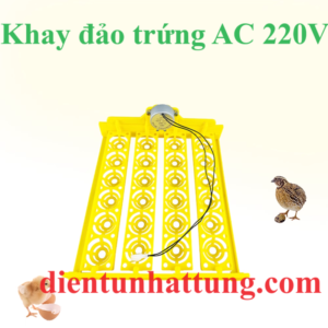 khay-dao-trung-ac-220v-dai-dien