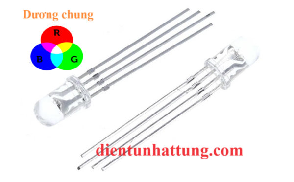 led-trong-5mm-3-mau-anot-led-sieu-sang-4-chan-dai-dien1