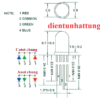 led-trong-5mm-3-mau-anot-led-sieu-sang-4-chan-pinout