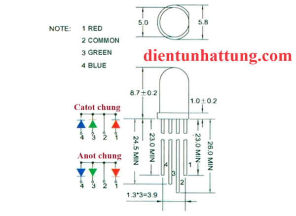 led-trong-5mm-3-mau-anot-led-sieu-sang-4-chan-pinout