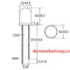 led-trong-5mm-mau-trang-dai-led-sieu-sang-pinout