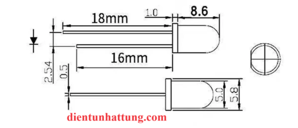 led-trong-5mm-mau-trang-ngan-led-sieu-sang-pinout1