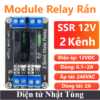 module-relay-ran-ssr-12v-2-kenh