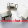 nut-nhan-2-chan-3x6x5mm-nut-nhan-han-board-dai-dien-1