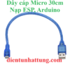 day-cap-micro-30cm-nap-code-esp-arduino-dai-dien