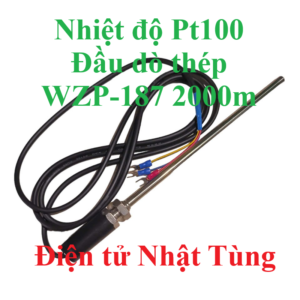 cam-bien-nhiet-do-pt100-dau-do-thep-wzp-187-2000m-dai-dien