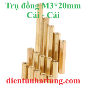 tru-dong-cai-cai-m3-20mm-tru-dong-luc-giac-dai-20mm-dai-dien