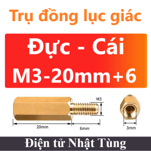 tru-dong-luc-giac-m3-20mm-6-duc-cai