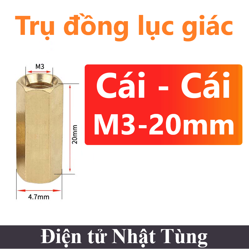 tru-dong-luc-giac-m3-20mm-cai-cai