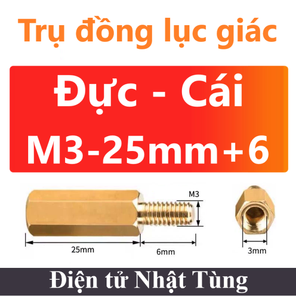 tru-dong-luc-giac-m3-25mm-6-duc-cai