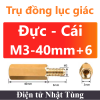 tru-dong-luc-giac-m3-40mm-6-duc-cai
