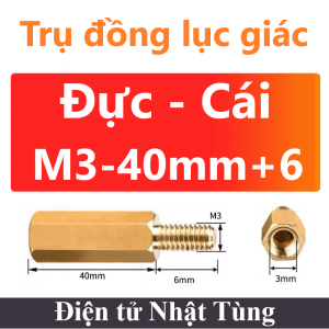 tru-dong-luc-giac-m3-40mm-6-duc-cai