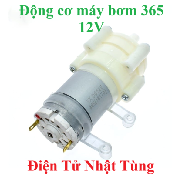 dong-co-may-bom-365-12v-vuong-luu-luong-3lit-phut-dai-dien