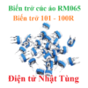 bien-tro-cuc-ao-100r-101-tren-thi-truong-hinh-mat-truoc-dai-dien