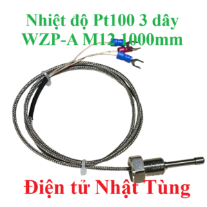 cam-bien-nhiet-do-pt100-3day-ren-M12-WZP-A-1000mm-dai-dien1