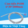 cam-bien-nhiet-do-pt100-wzp-a-6-30-2000mm-dai-dien