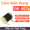 cam-bien-rung-3-chan-rung-sw801s