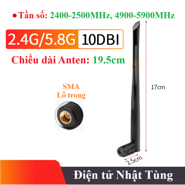 anten-2-4ghz-5-8ghz-10dbi-dau-nhon-19-5cm-chan-lo-trong-anten-wifi