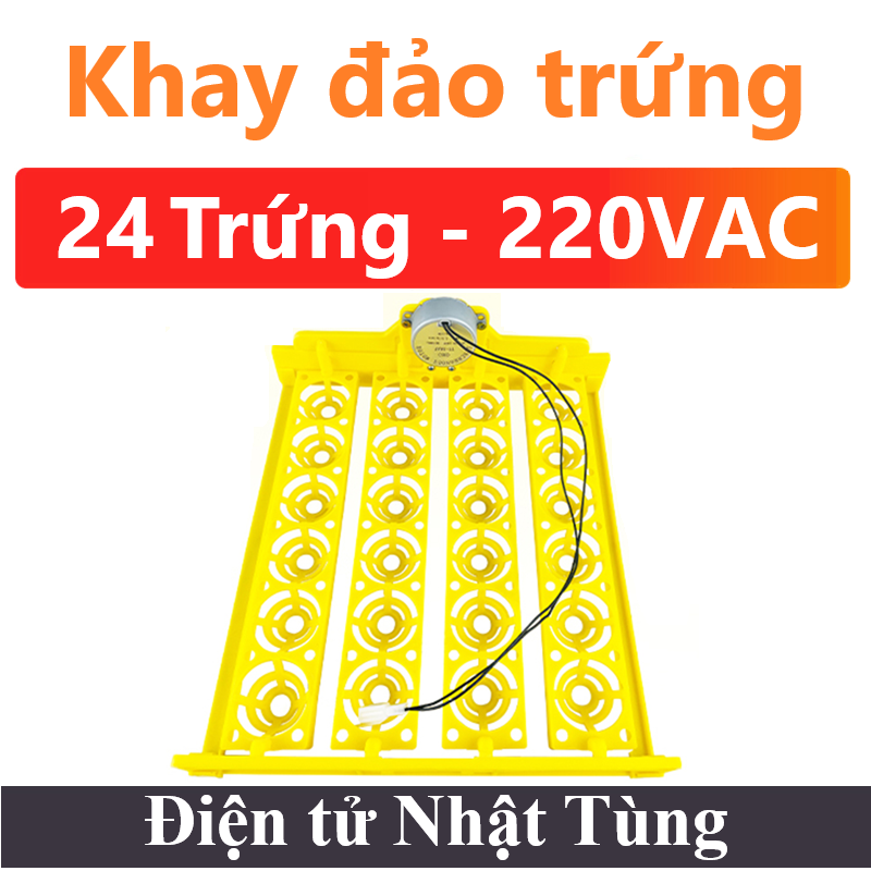 khay-dao-trung-24-trung-dien-ap-220v