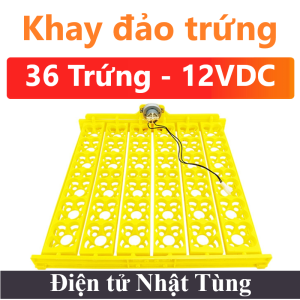 khay-dao-trung-36-trung-dien-ap-12vdc