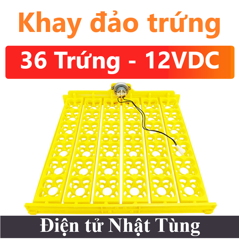 khay-dao-trung-36-trung-dien-ap-12vdc