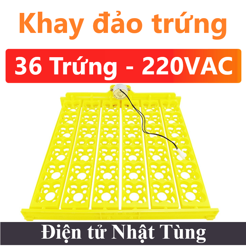 khay-dao-trung-36-trung-dien-ap-220v