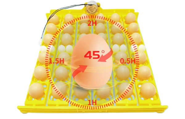 khay-dao-trung-dc-12v-dao-36-trung-tu-dong-1