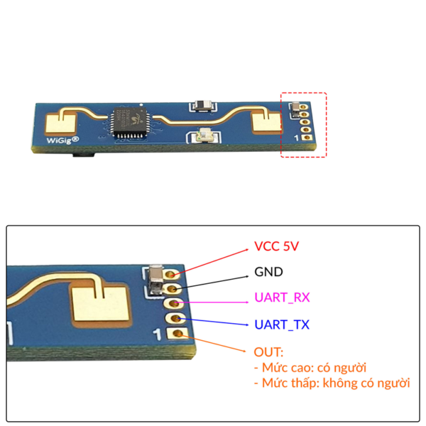 cam-bien-vat-can-radar-LD2410B-phat-hien-nguoi-pinout