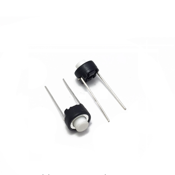 nut-nhan-nha-2-chan-6x6x5mm-hinh-4