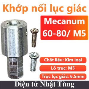 khop-noi-luc-60mm-80mm-lo-truc-m5-dong-co-giam-toc