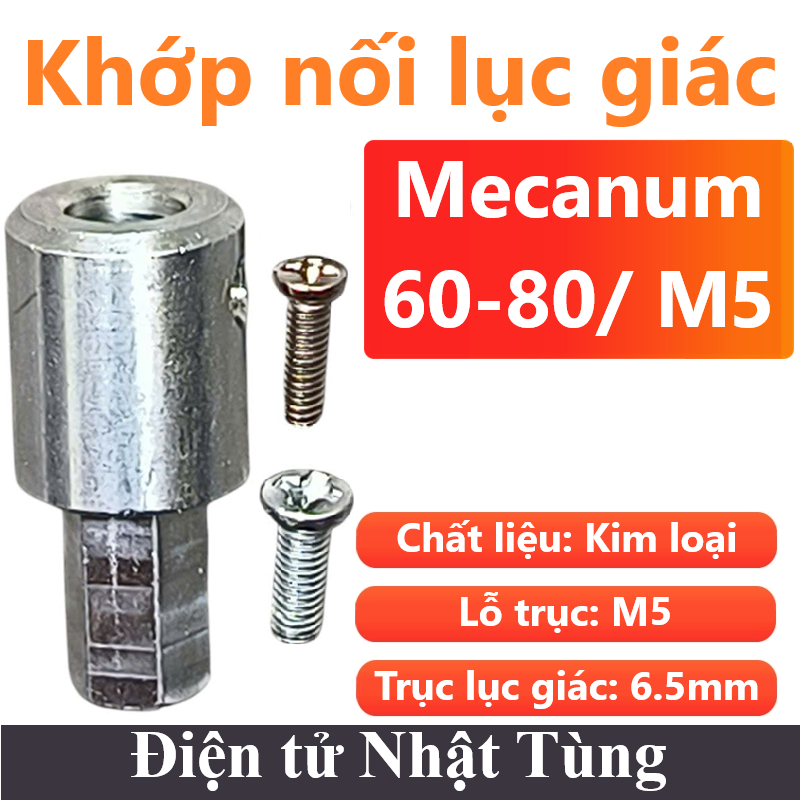 khop-noi-luc-60mm-80mm-lo-truc-m5-dong-co-giam-toc