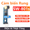 cam-bien-rung-4-chan-rung-module-sw-801s